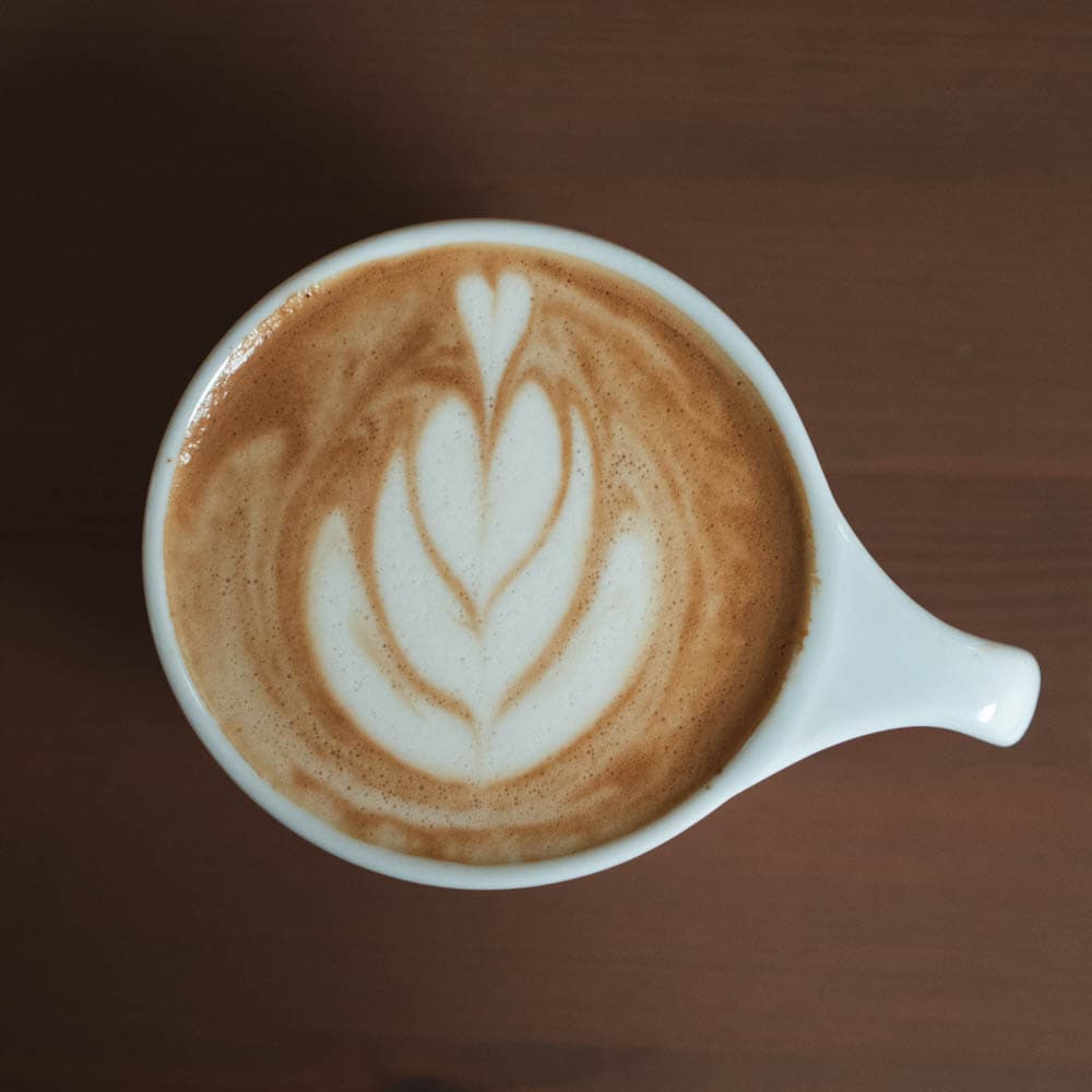 latte_tulip