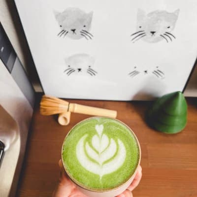 latte_tulip
