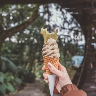 ice_cream_cat