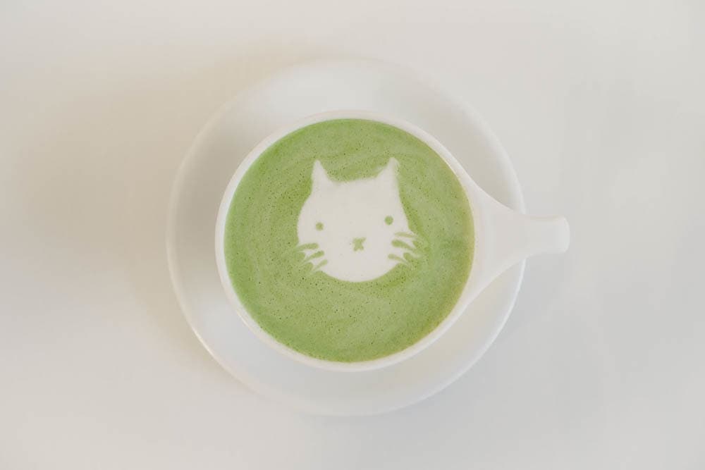 latte_cat