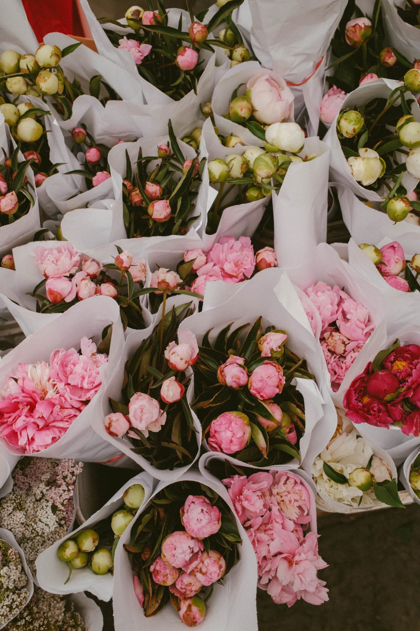 union_square_peonies